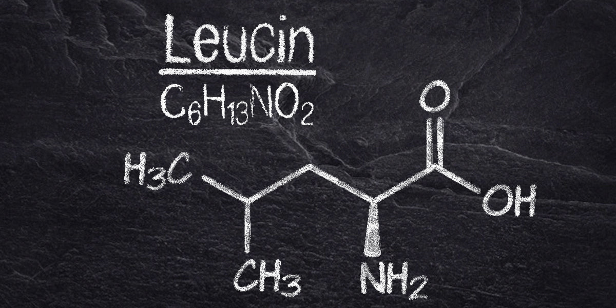 Leucin