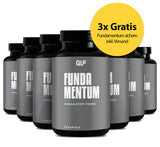 7er Pack Fundamentum