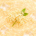 Holunderblüte (15 Sticks)