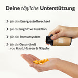 Solid Multi Multivitaminflasche mit Kapseln in Hand, Vorteile für Stoffwechsel, Immunsystem und Haut, Galerieposition 1